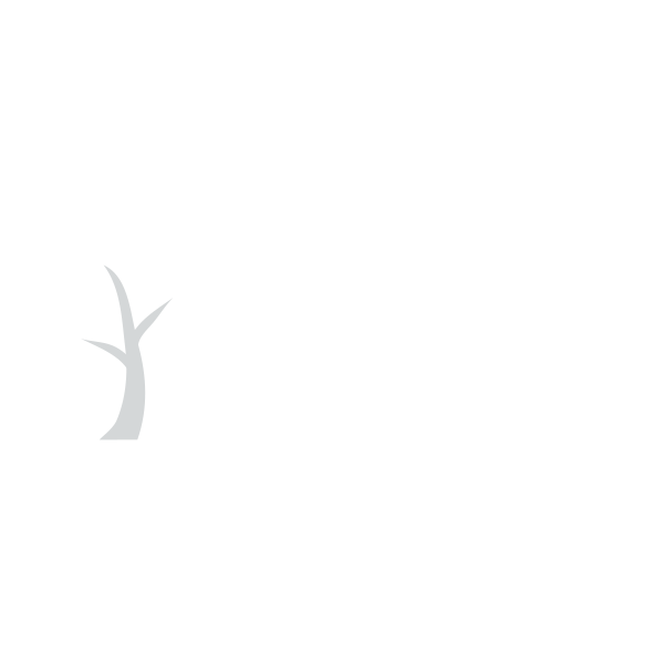 CO2 neutral logo footer
